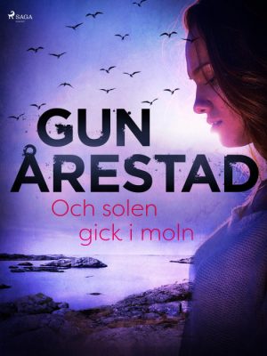 Och solen gick i moln (E-bog)