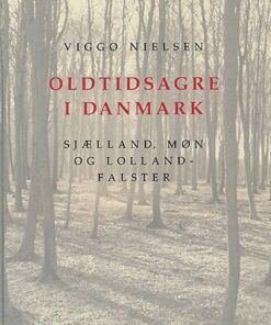 Oldtidsagre I Danmark - Viggo Nielsen - Bog