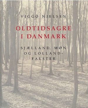 Oldtidsagre I Danmark - Viggo Nielsen - Bog