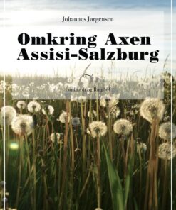 Omkring Axen Assisi-Salzburg (E-bog)
