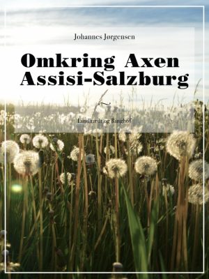 Omkring Axen Assisi-Salzburg (E-bog)