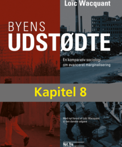 Opkomsten af den avancerede marginalisering (E-bog)