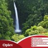 Oplev Costa Rica (Lonely Planet) (Bog)