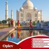 Oplev Indien (Lonely Planet) (Bog)
