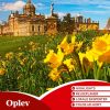 Oplev Storbritanien (Lonely Planet) (Bog)