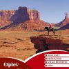 Oplev USA (Lonely Planet) (Bog)