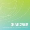 Oplevelsesrum - John Hird - Bog