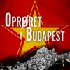 Oprøret i Budapest (E-bog)