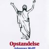 Opstandelse (Bog)