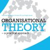 Organisational Theory - Lars Krogh Jensen - Bog