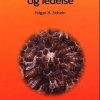 Organisationskultur og ledelse