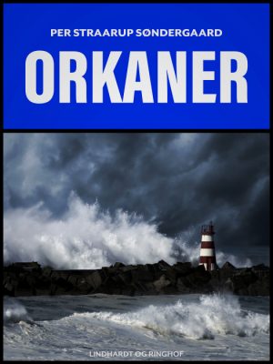 Orkaner (E-bog)