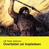 Overfaldet på bopladsen (E-bog)