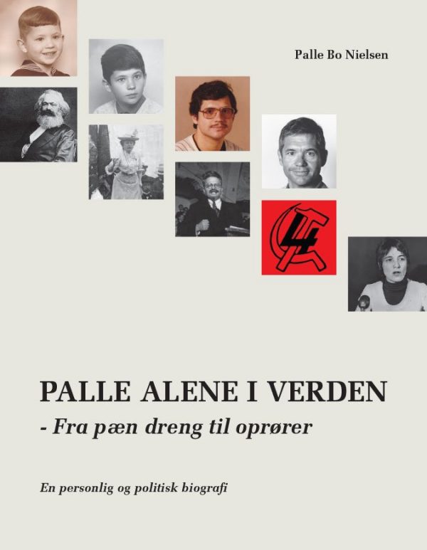 Palle Alene I Verden - Palle Bo Nielsen - Bog