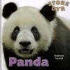 Panda (Bog)