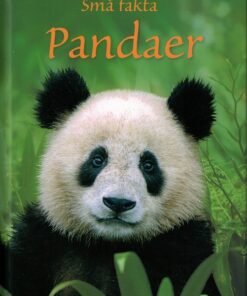 Pandaer (E-bog)
