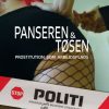 Panseren & tøsen (Bog)