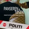 Panseren & tøsen (E-bog)