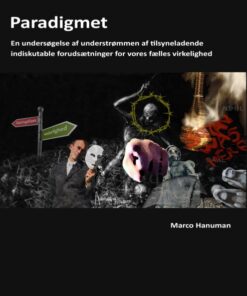 Paradigmet (E-bog)