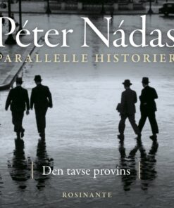 Parallelle historier 1 (Lydbog)