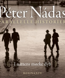 Parallelle historier 2 (Lydbog)