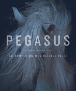 Pegasus og kampen om den hellige kilde (E-bog)