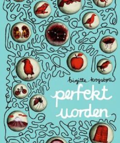 Perfekt Uorden - Birgitte Krogsbøll - Bog