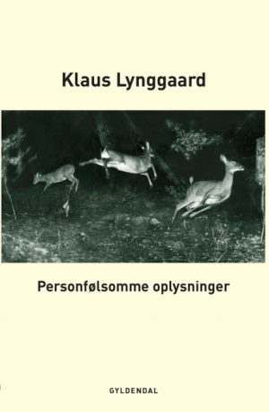 Personfølsomme oplysninger (Bog)