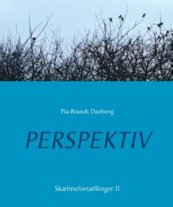 Perspektiv (Bog)