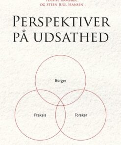 Perspektiver På Udsathed - Jan Jaap Rothuizen - Bog