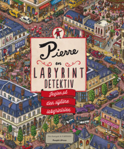 Pierre, en labyrintdetektiv (Bog)