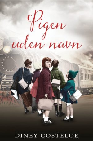 Pigen uden navn (Bog)