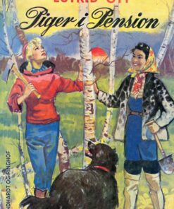 Piger i Pension (E-bog)