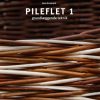 Pileflet 1 - Jane Enemark - Bog