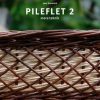 Pileflet 2 (E-bog)