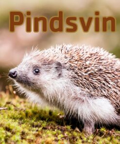 Pindsvin (E-bog)