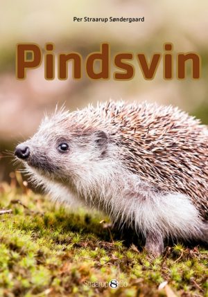 Pindsvin (E-bog)