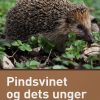 Pindsvinet og dets unger (E-bog)