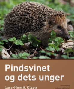 Pindsvinet og dets unger (E-bog)