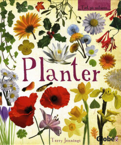 Planter (Bog)