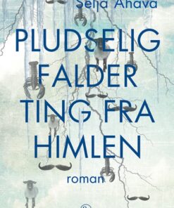 Pludselig falder ting fra himlen (Bog)