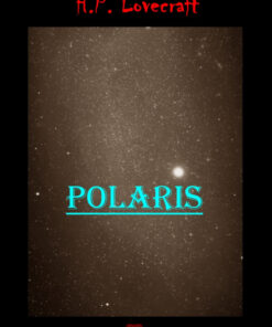 Polaris (E-bog)