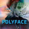 Polyface (Bog)