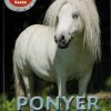 Ponyer (Bog)