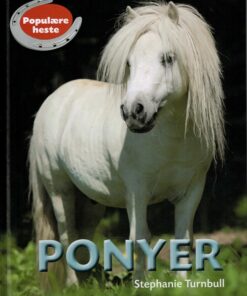 Ponyer (Bog)