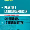 Praktik i læreruddannelsen (E-bog)