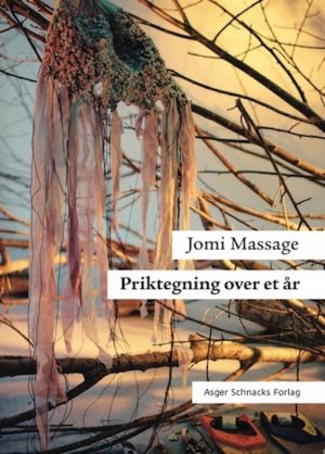Priktegning over et år (Bog)