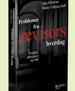 Problemer Fra Revisors Hverdag - Lars Kiertzner - Bog