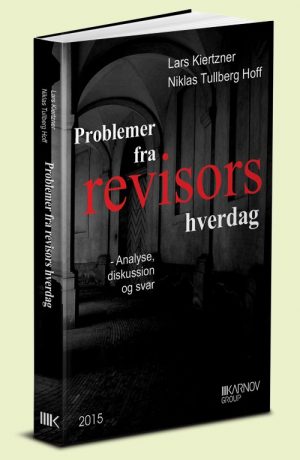 Problemer Fra Revisors Hverdag - Lars Kiertzner - Bog