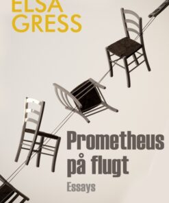 Prometheus på flugt (E-bog)